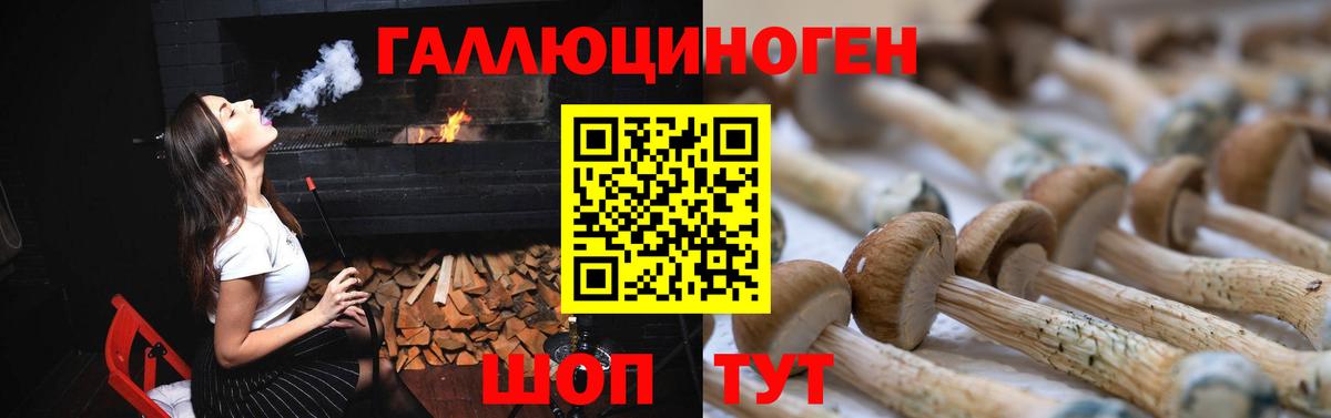 Отрадный  купить наркотик  Псилоцибиновые грибы Psilocybe  Вход с VPN  Галлюциногенные грибы мухоморы 